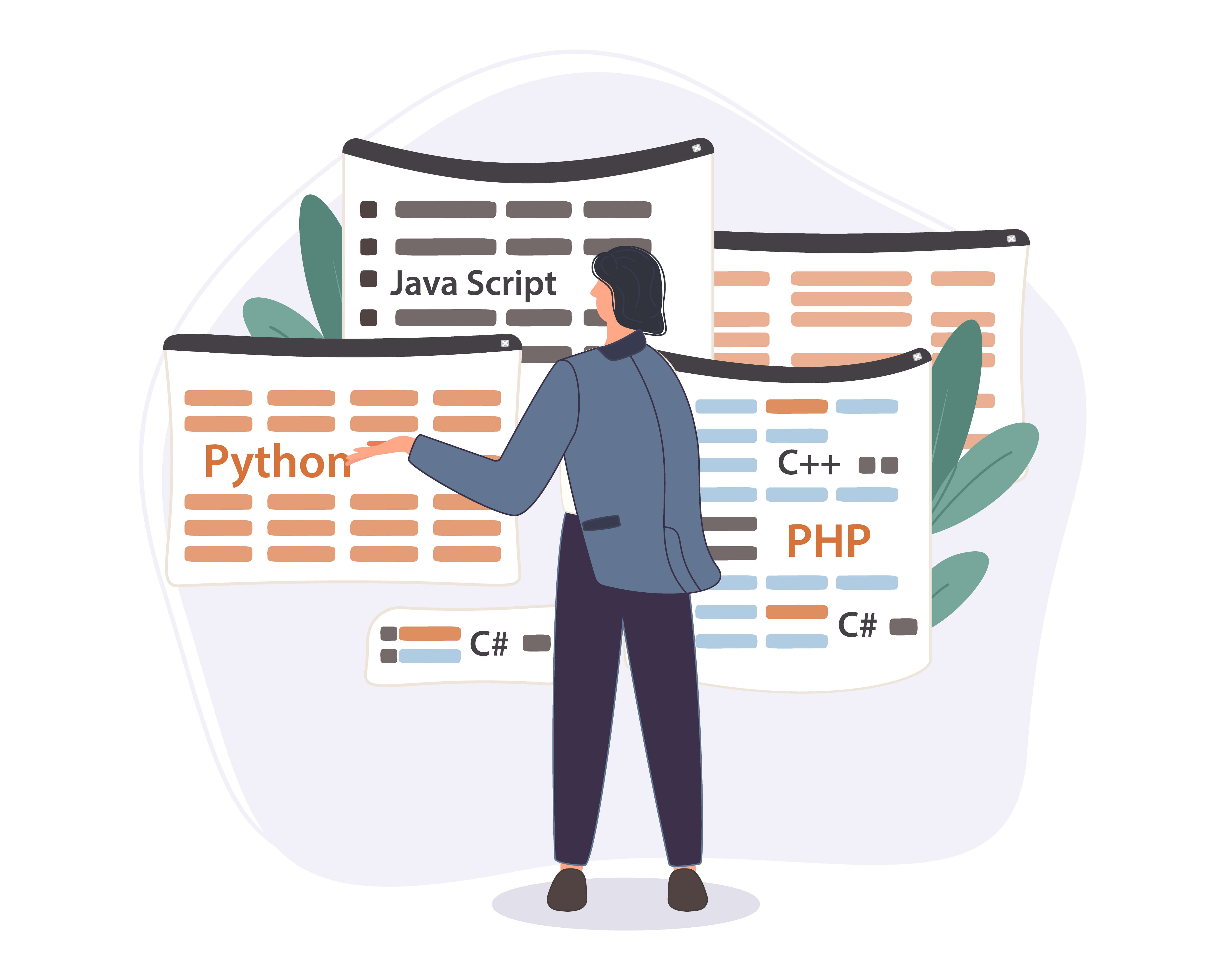 python programming language