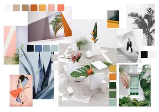 Creating mood boards with design tools